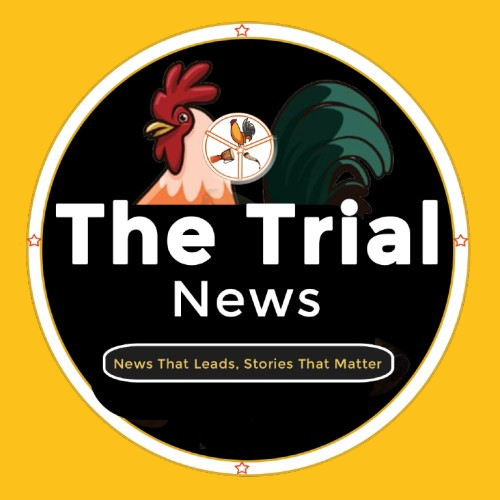 The Trial Logo